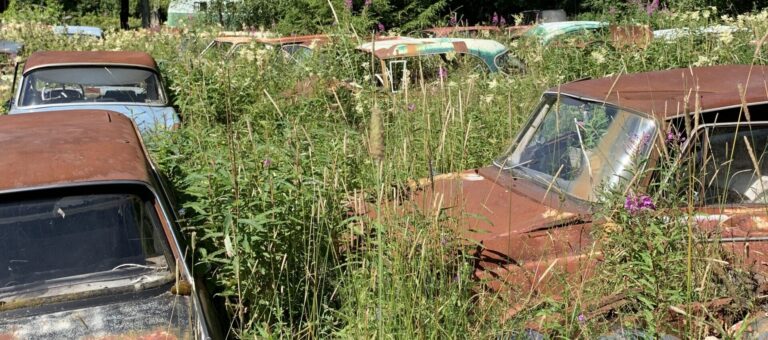 Bilskrot tävlar om uttjänade Skoda-Laurin